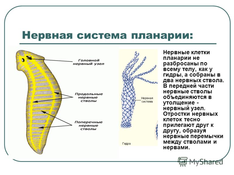 Кракен сайт вход официальный зеркало