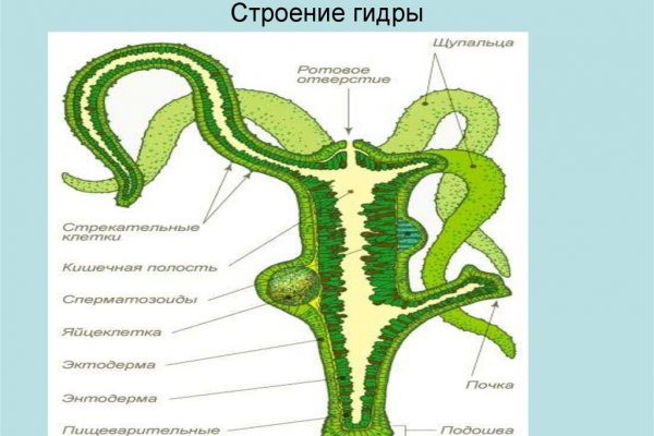 Кракен через браузер